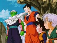 DragonballZ-Episode287 18