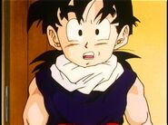 A young Future Gohan finds out that his father is dead.