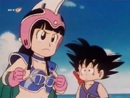 Chi-Chi doesn't believe Roshi is strong
