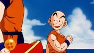 Kuririn asks Goku if he still uses the Dragon Balls