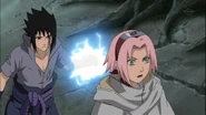 Sakura fails to notice that Sasuke wants to kill her.