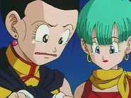 Chi-Chi is worry about Goku