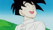 Teen Gohan