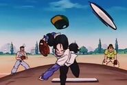 Videl throw baseball