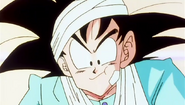 Goku eating the senzu bean