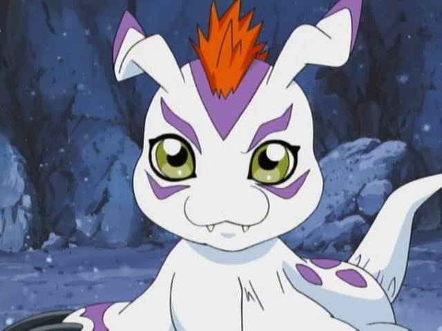 Gomamon (Adventure) - Wikimon - The #1 Digimon wiki