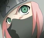 Sakura in the episode Gotta See!Gotta know!Kakashi-sensei's True Face!