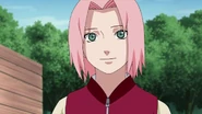 Sakura is relieve after Naruto tells her that Sasuke will be together again with Team Kakashi.