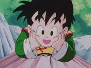 Gohan looking at a bird.