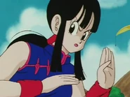 Chi-Chi prepares to fight