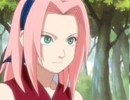 Sakura remarks that she won't lose to her in a battle.