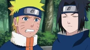 Sasuke ingores Naruto for a second time.