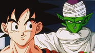 Goku with Piccolo