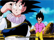 Goku and Vegeta