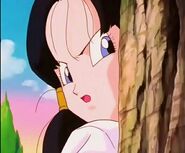 Videl tries to learn about Gohan by following him in the streets