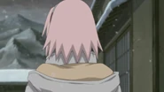 Sakura lies to Naruto by telling him that she is returning to Konoha.