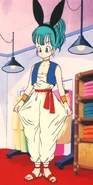 Bulma buys new clothes
