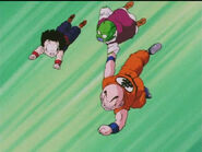 Dbz50-02