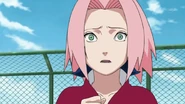 Sakura is shock after Kakashi tells her that Sasuke was really trying to kill Naruto.