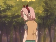 Sakura tells Ino that they are now rivals for Sasuke's affection.