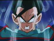 Dbz256-24