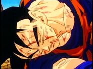 Future Gohan lays Unconscious.