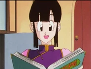 Chi-Chi looking at the Son Family photo Album.