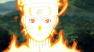 Naruto learns that he inherited Shisui's Ideas, and goals.