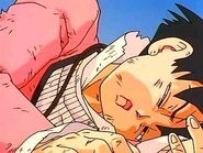 Videl knocked out