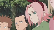 Shikamaru hears from Naruto how they like an outsider over him.