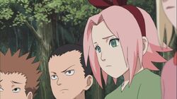 Animes In Japan 🎄 on X: INFO PATROA! Sakura Haruno ficou em 3