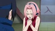 Sakura pleas to Sasuke to drop out of the Chunin Exam.