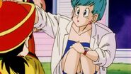 Bulma wonders if Gohan wants to be a fighter