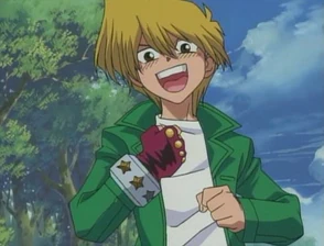 fairy card sleeves 60 Playerschoice Premium Card Sleeves Standard Heart of Crown: Fairy G –  Miyata Kard Market