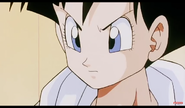 Videl thinking about Goku