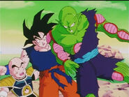 Dbz95-39