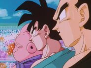 DragonballZ-Episode290 126