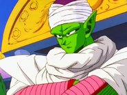 Piccolo7YearsLater