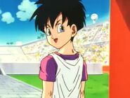 Videl told Gohan to have a good luck