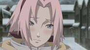 Sakura lies to Naruto by telling him that she is in love with him.