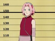 Part II Sakura is introduced