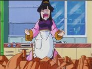 Chi-Chi becomes abgry after Goku and Gohan accidently broke a glass cup.