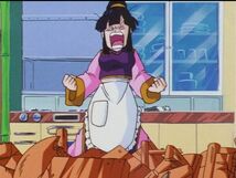 Chi-Chi becomes angry after Goku and Gohan accidently broke a glass cup.