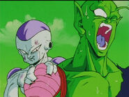 Dbz94-05