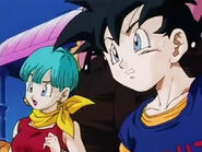 Videl with everyone see Super Buu back