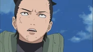 Shikamaru is shock that the real Yota commit Suicide.]]