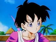 Videl asked the announcer about her father