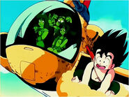 Goku and his friends