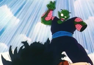 Piccolo killed Raditz