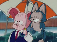 Puar with Oolong